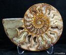 Inch Split Ammonite Pair #2625-3